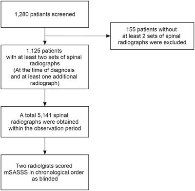 Prediction of radiographic progression pattern in patients with ankylosing spondylitis using group-based trajectory modeling and decision trees